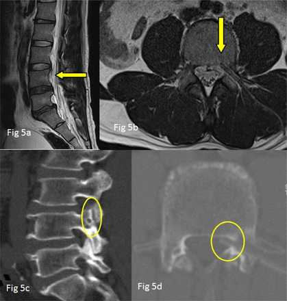 Fig. 5