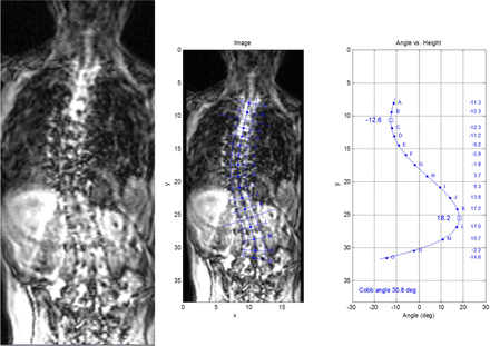 Fig. 10