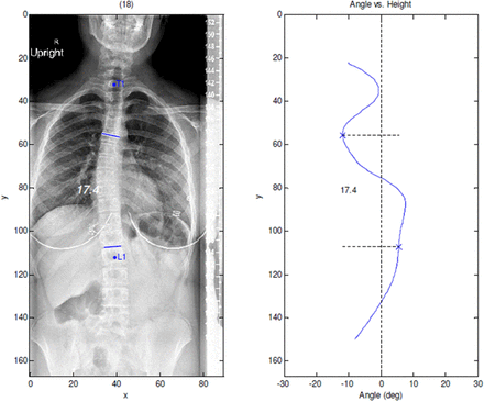 Fig. 8