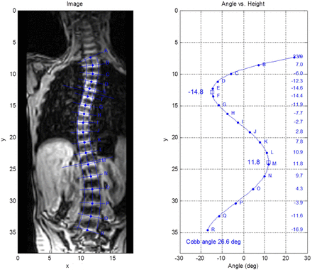 Fig. 9