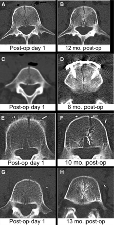 Fig. 8