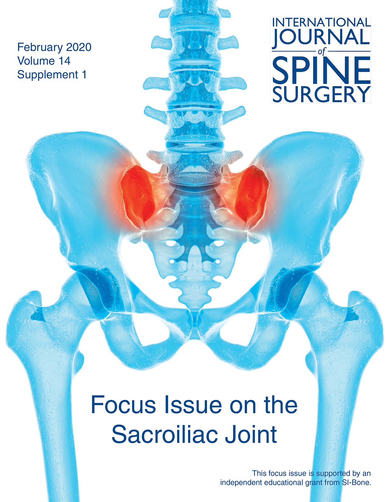 of the Sacroiliac Function, Biomechanics, Sexual Dimorphism, and Causes of Pain | International Journal of Surgery