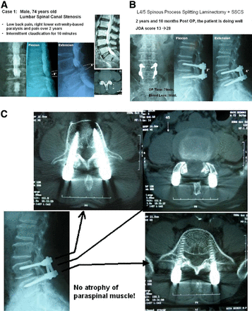 Fig. 3