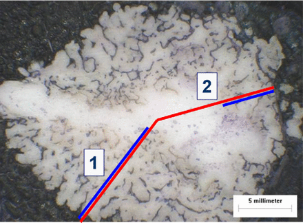 Fig. 10