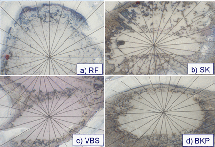 Fig. 6