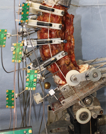 Fig. 2