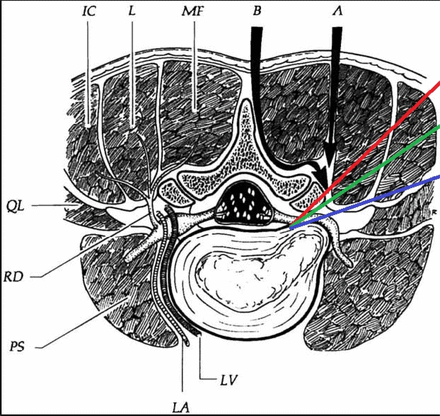 Fig. 9