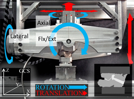 Fig. 2