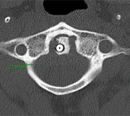 Fig. 7